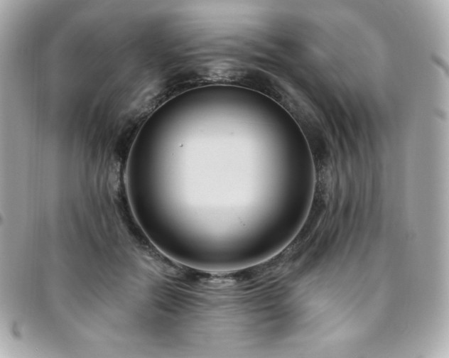 X0000096430554200801241340