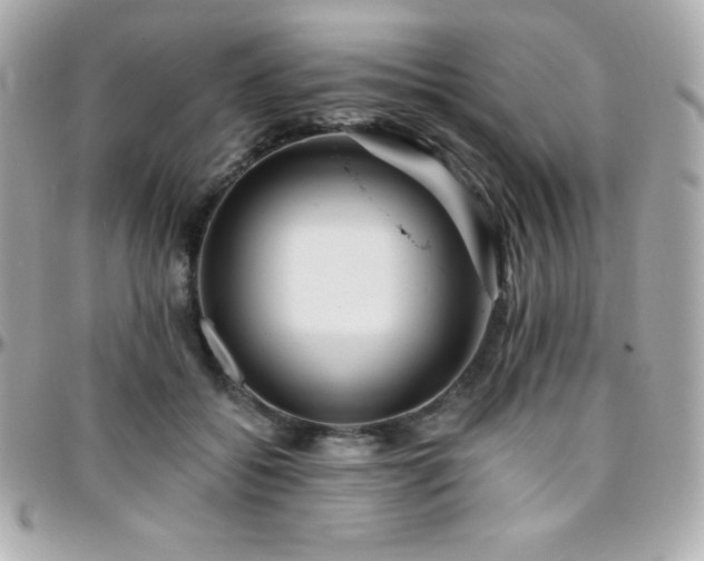 X0000096430556200801241341