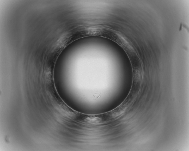 X0000096430557200801241341