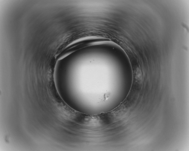 X0000096430559200801241341