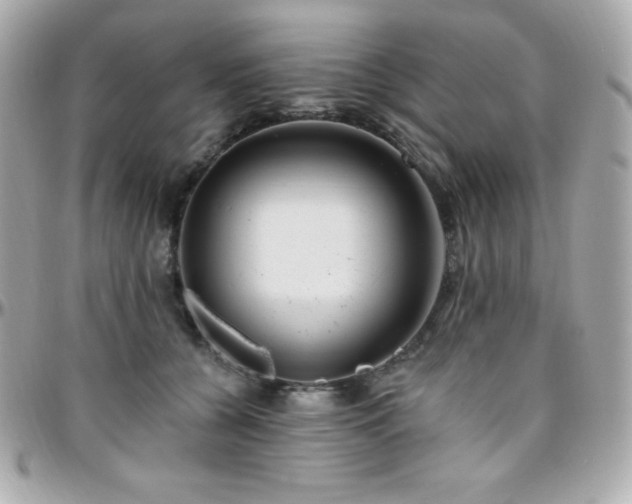 X0000096430560200801241341