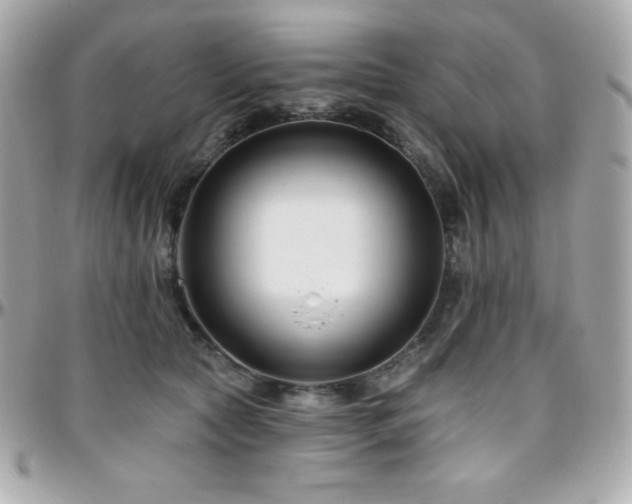 X0000096430561200801241341