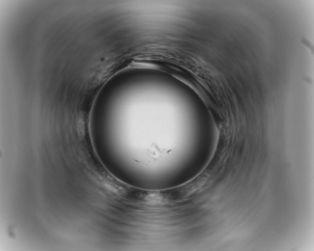 X0000096430562200801241341