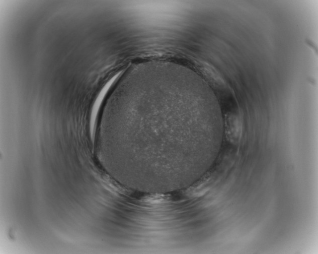 X0000096430563200801241341