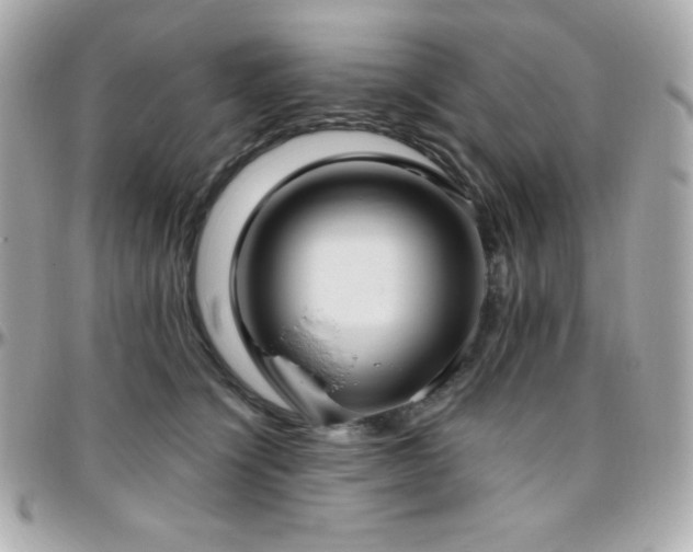 X0000096430564200801241341