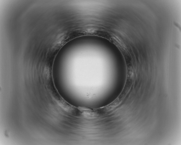 X0000096430568200801241341