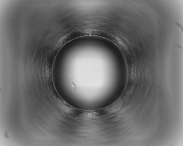 X0000096430569200801241341