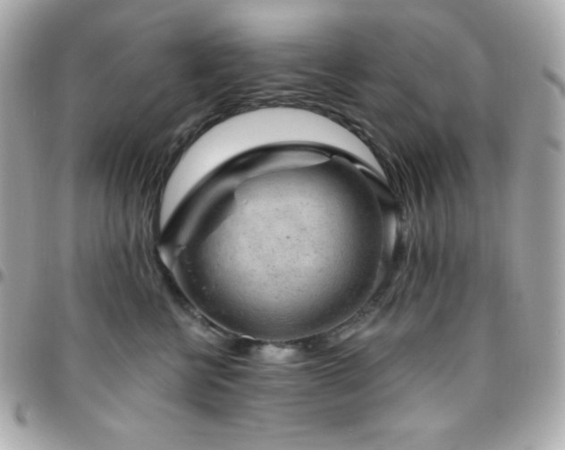 X0000096430570200801241341
