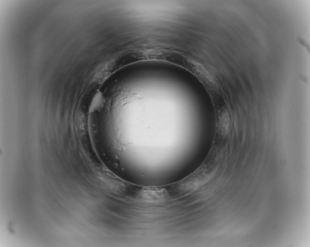 X0000096430571200801241341