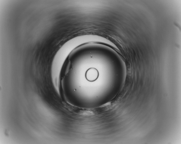 X0000096430572200801241341