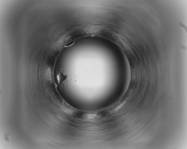 X0000096430575200801241341