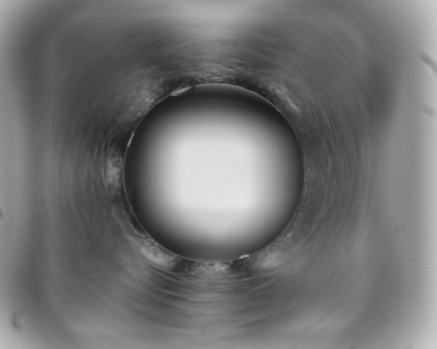 X0000096430576200801241341