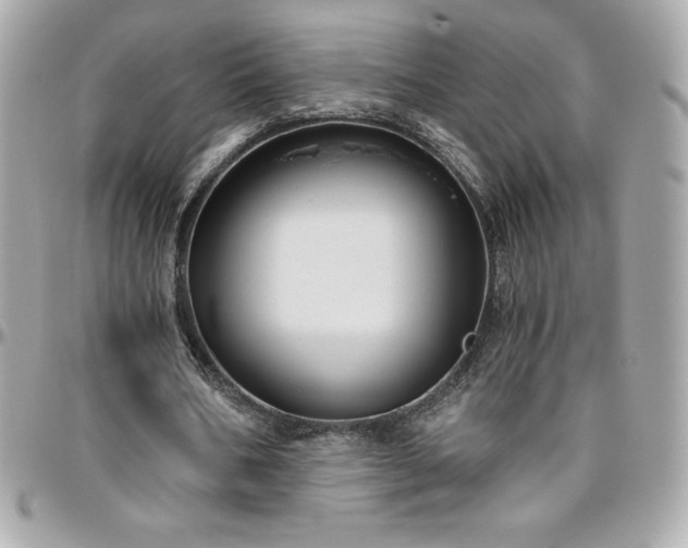 X0000096430578200801241340