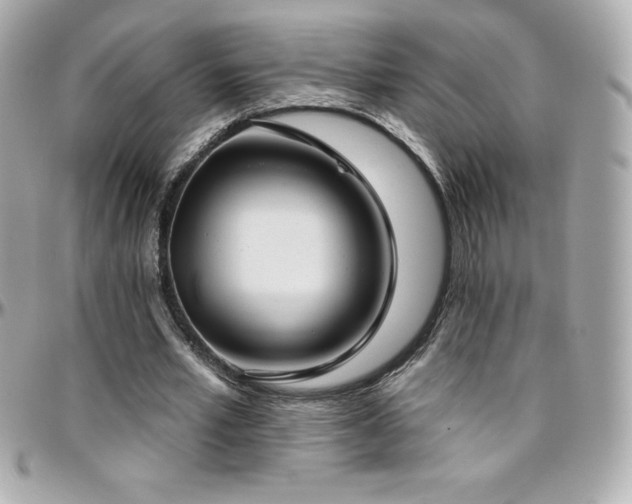 X0000096430581200801241340