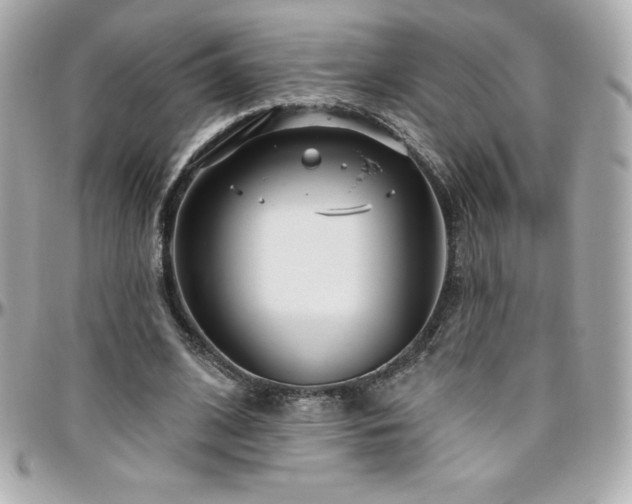 X0000096430584200801241340