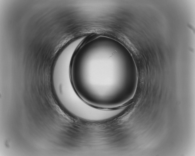X0000096430585200801241340