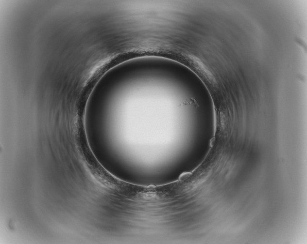 X0000096430588200801241340
