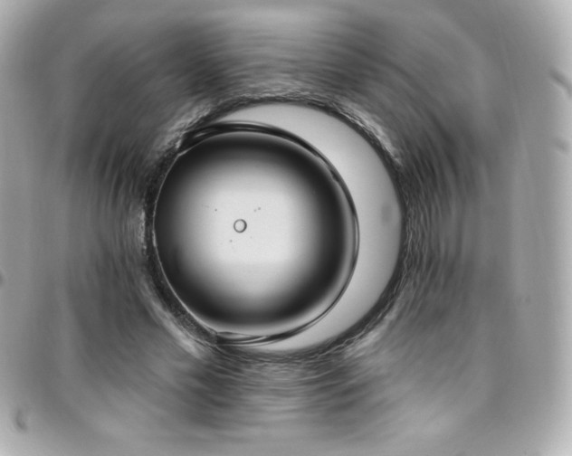 X0000096430589200801241340