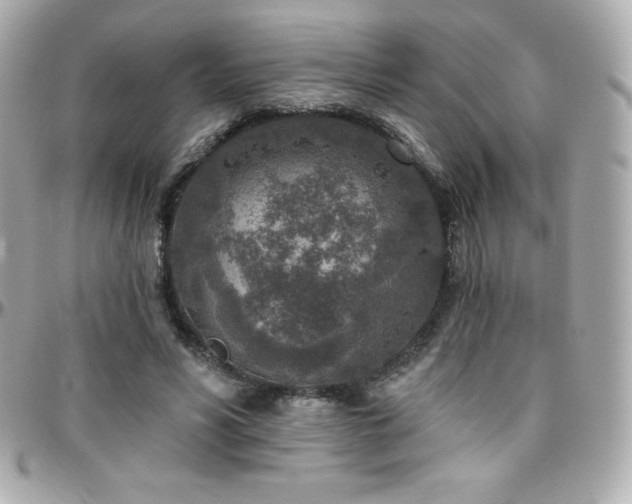X0000096430590200801241340