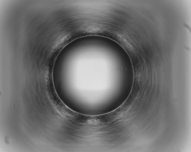 X0000096430591200801241340