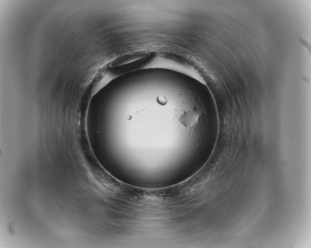 X0000096430592200801241340