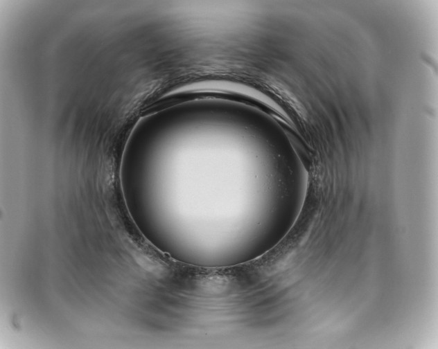 X0000096430593200801241340