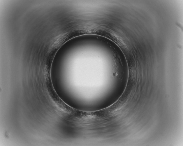 X0000096430594200801241340