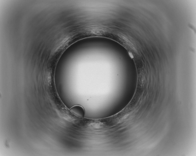 X0000096430595200801241340