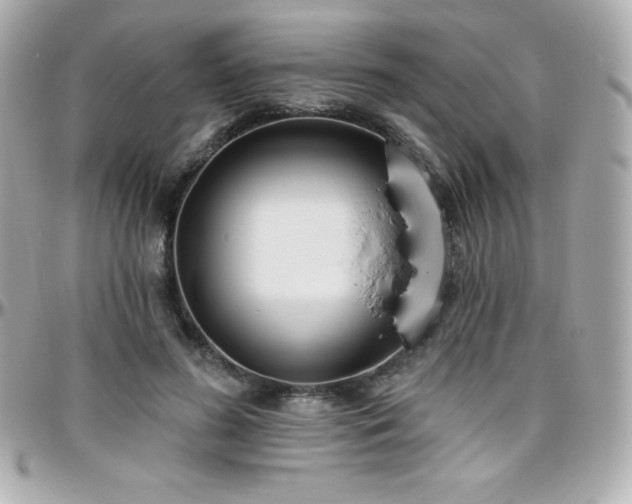 X0000096430596200801241340