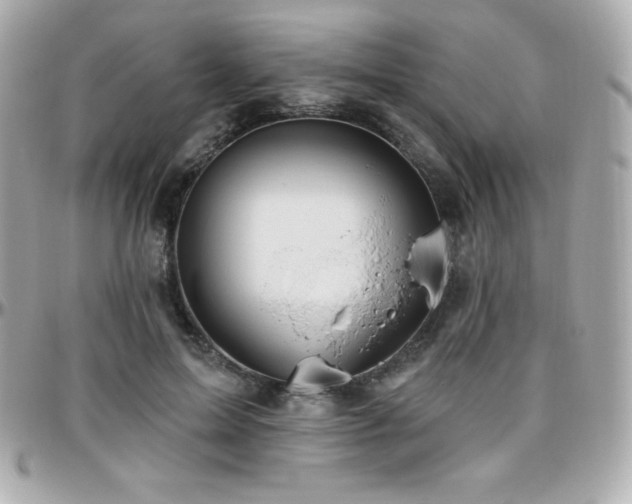 X0000096430599200801241340