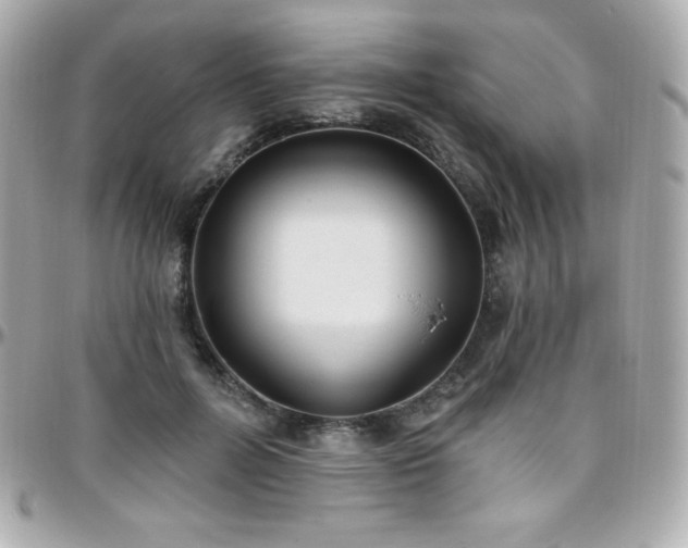 X0000096430600200801241340