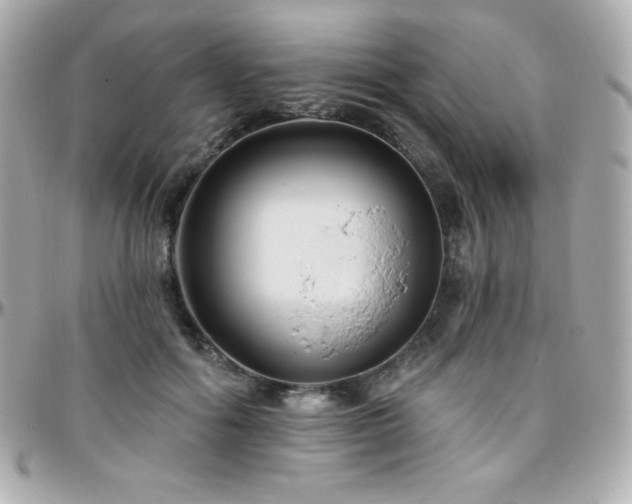 X0000096430602200801241340
