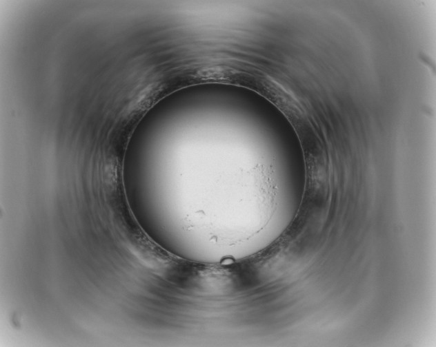 X0000096430603200801241340