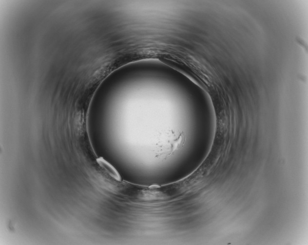 X0000096430605200801241340