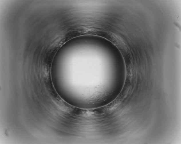 X0000096430607200801241340