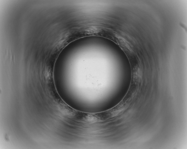 X0000096430608200801241340