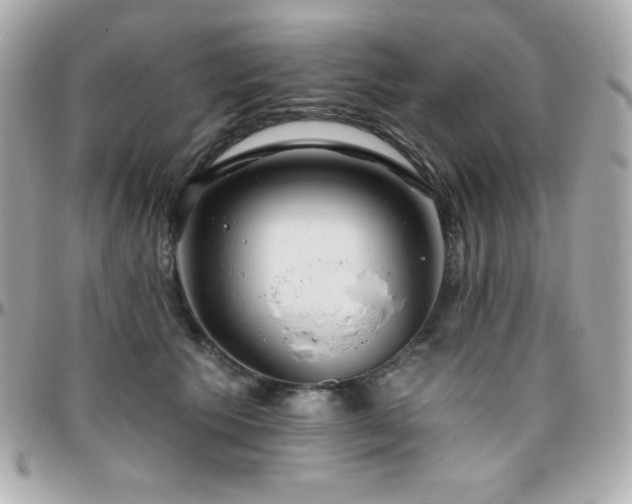 X0000096430609200801241340