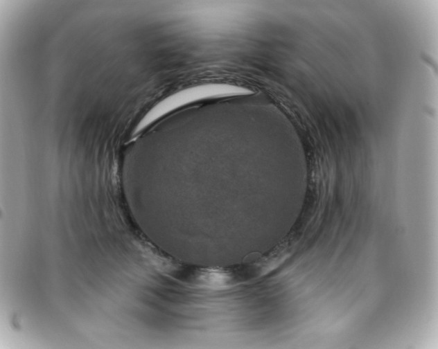 X0000096430610200801241340