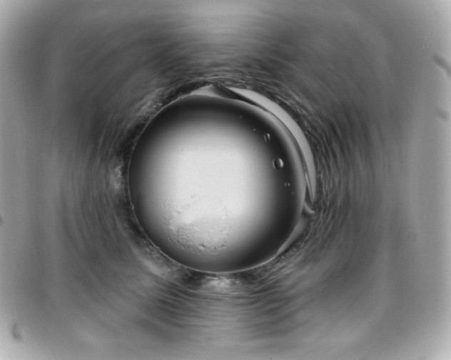 X0000096430611200801241340