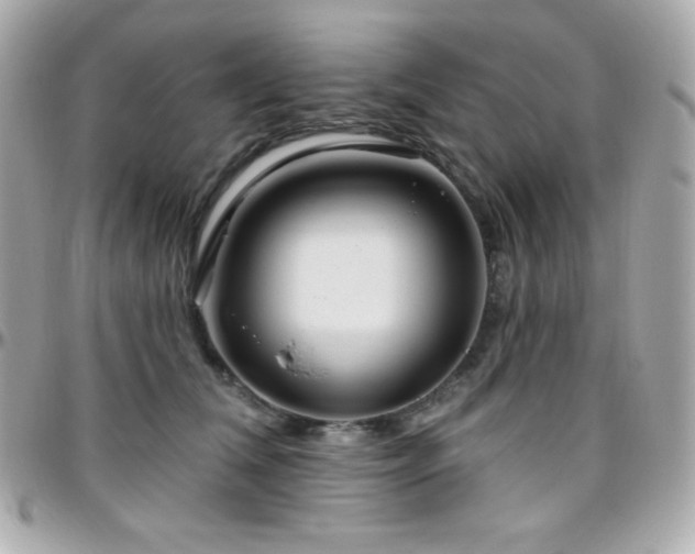 X0000096430612200801241340
