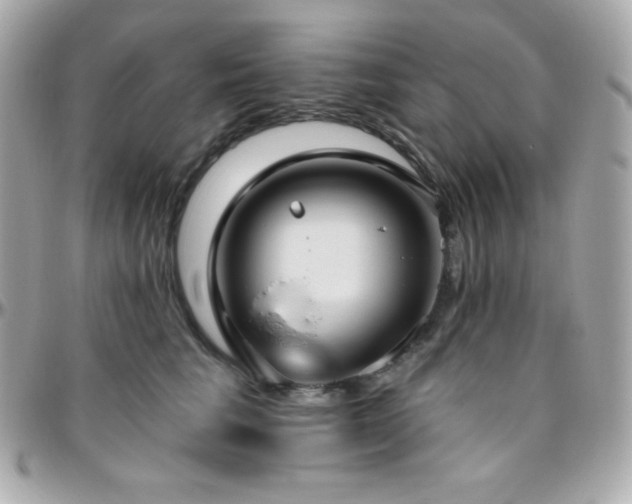 X0000096430613200801241340