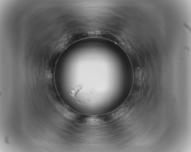 X0000096430614200801241340