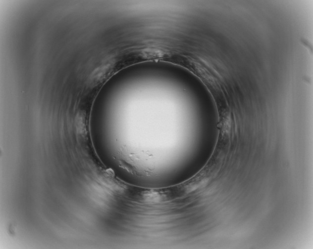 X0000096430616200801241340