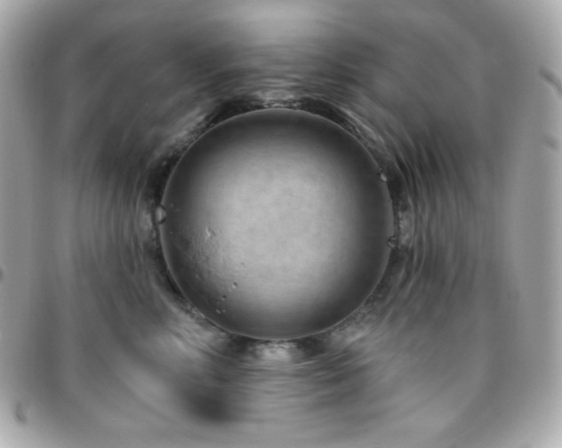 X0000096430618200801241340