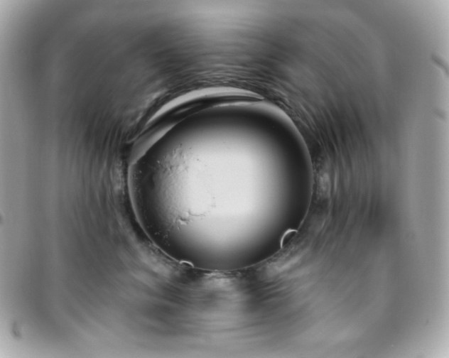 X0000096430620200801241340