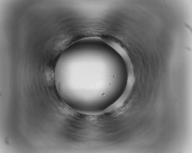 X0000096430624200801241339