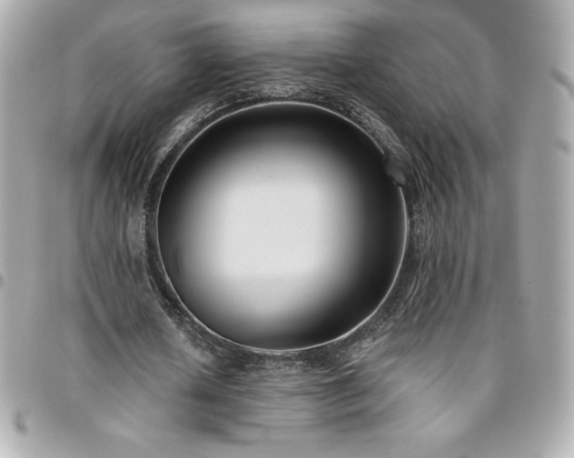 X0000096430626200801241339