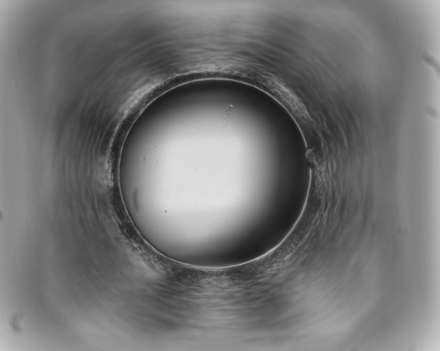 X0000096430628200801241339