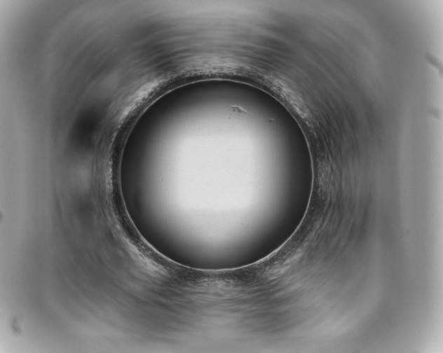 X0000096430629200801241339
