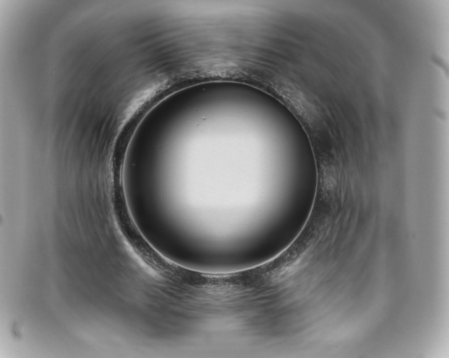 X0000096430630200801241339